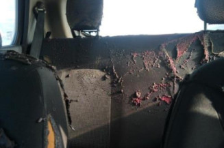 Air bag conducteur SUZUKI CELERIO