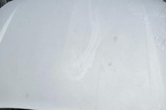 Anti brouillard gauche (feux) RENAULT LAGUNA 2
