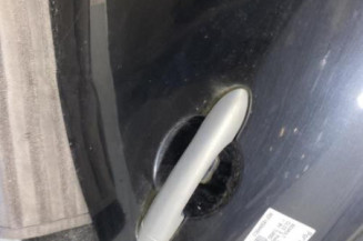 Porte arriere gauche RENAULT CLIO 3