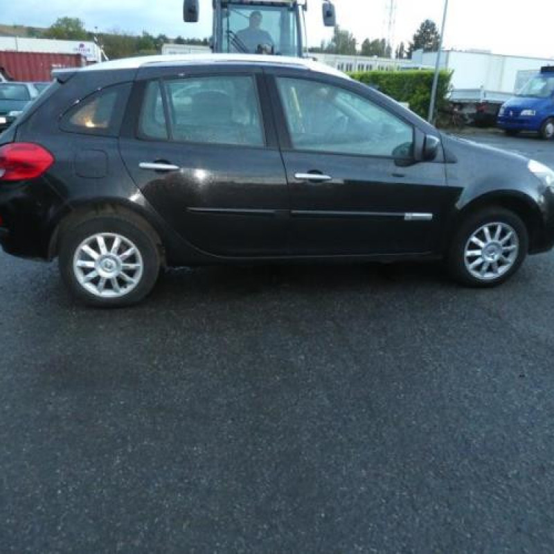 Porte arriere gauche RENAULT CLIO 3 Photo n°7
