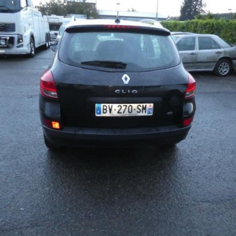 Porte arriere gauche RENAULT CLIO 3 Photo n°8