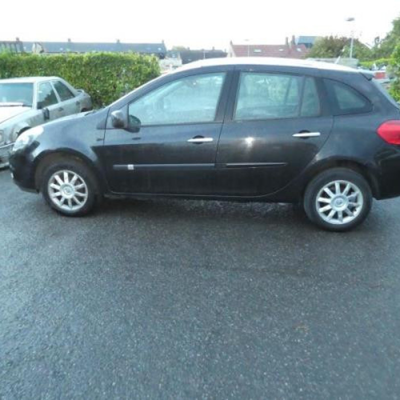 Porte arriere gauche RENAULT CLIO 3 Photo n°9
