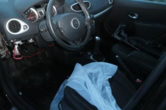 Porte arriere gauche RENAULT CLIO 3