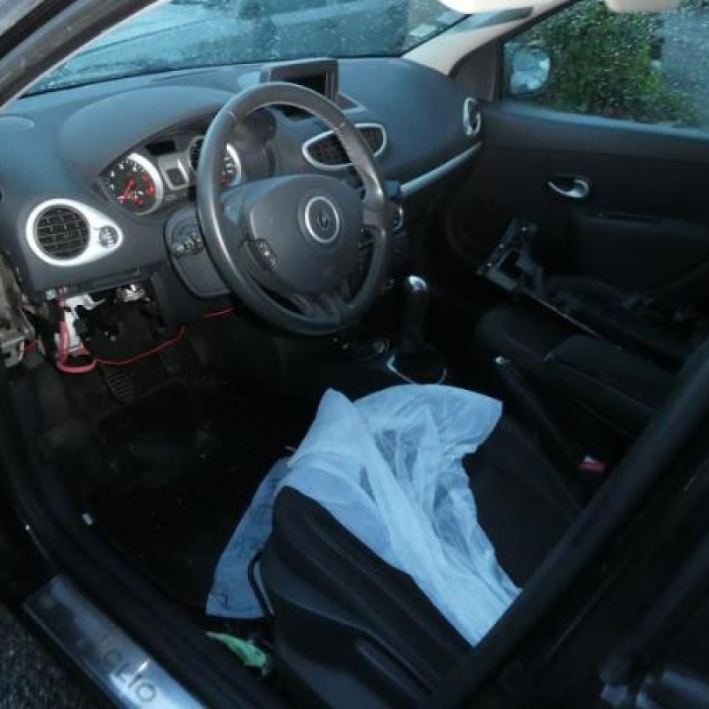 Porte arriere gauche RENAULT CLIO 3 Photo n°10