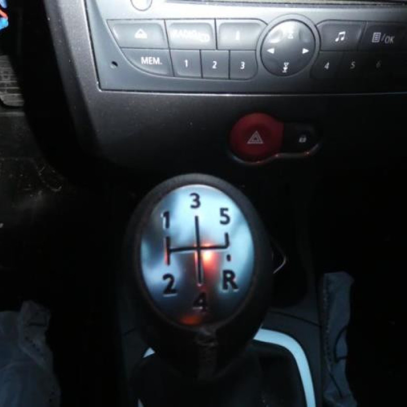 Porte arriere gauche RENAULT CLIO 3 Photo n°11