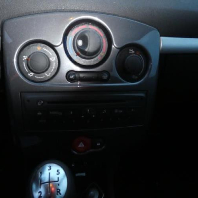 Porte arriere gauche RENAULT CLIO 3 Photo n°12