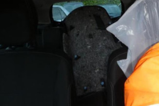 Porte arriere gauche RENAULT CLIO 3