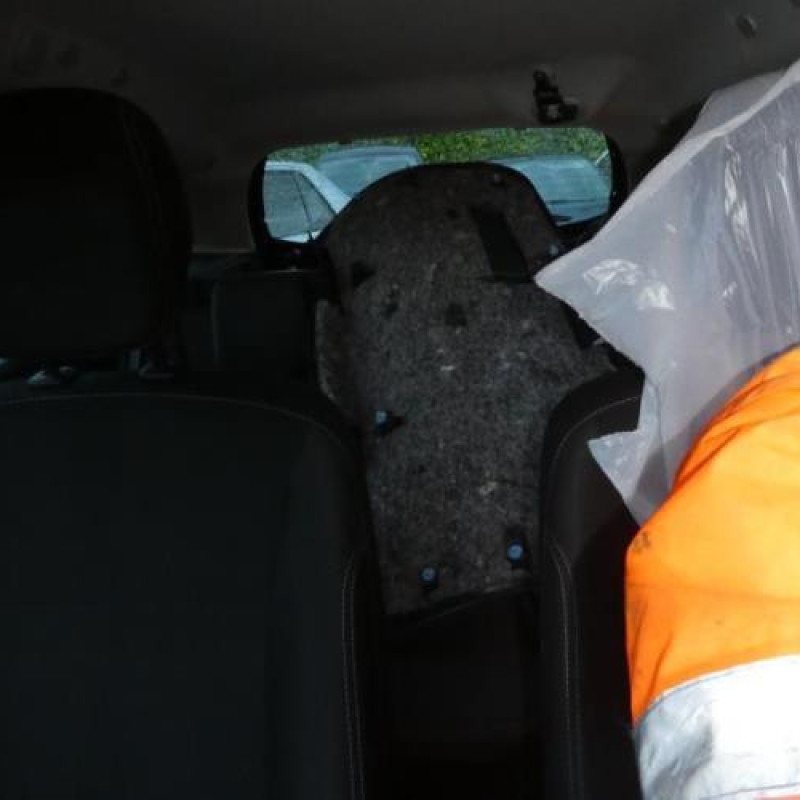 Porte arriere gauche RENAULT CLIO 3 Photo n°14