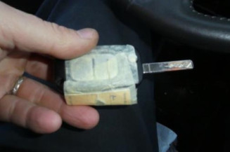 Porte arriere gauche RENAULT CLIO 3