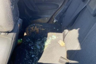 Feu arriere secondaire gauche (feux) CITROEN C3 2