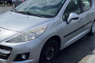 Porte arriere droit PEUGEOT 207
