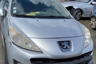 Porte arriere droit PEUGEOT 207