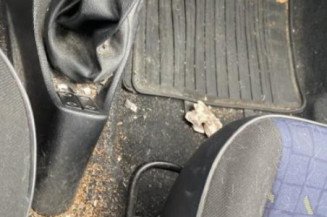 Porte avant droit CITROEN SAXO