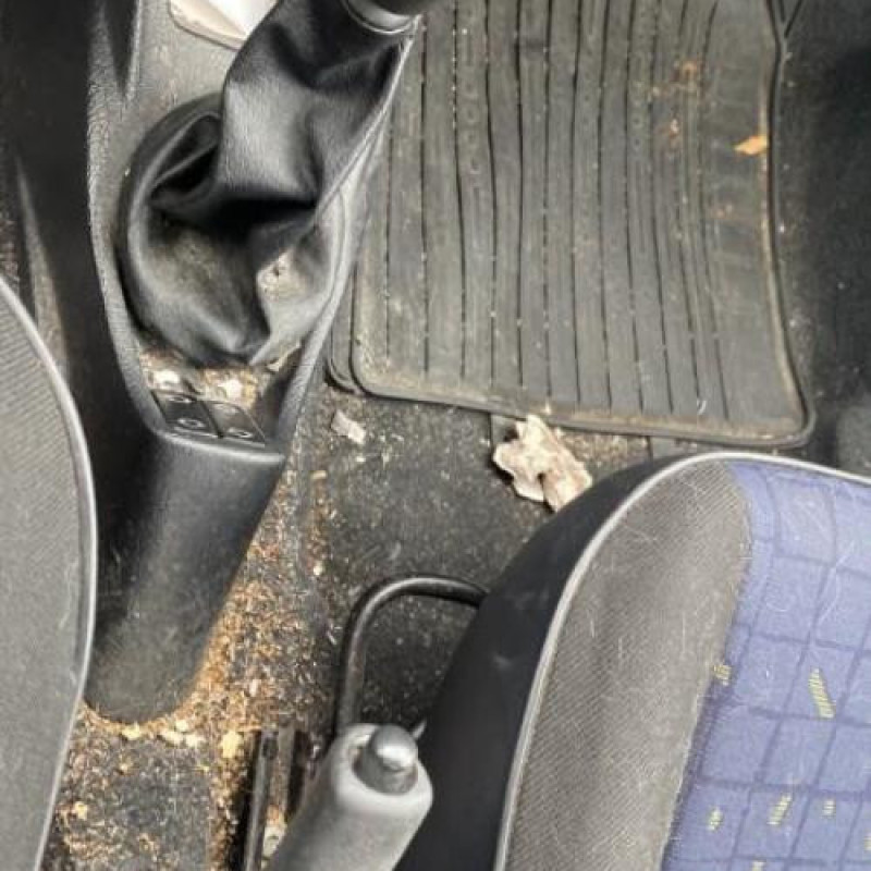 Porte avant droit CITROEN SAXO Photo n°19