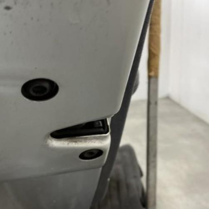 Porte arriere gauche SKODA FABIA 1 Photo n°3