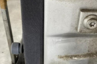 Porte arriere gauche SKODA FABIA 1