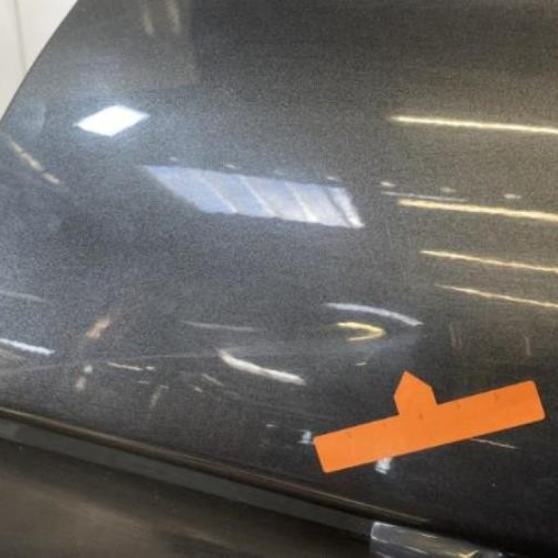 Porte arriere droit LANCIA DELTA 3 Photo n°8
