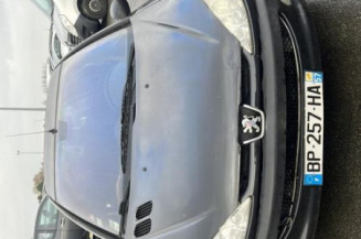 Porte arriere droit PEUGEOT 206
