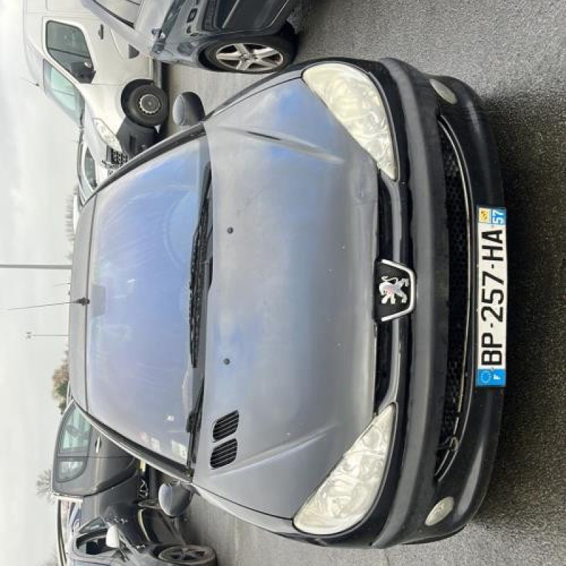 Porte arriere droit PEUGEOT 206 Photo n°7