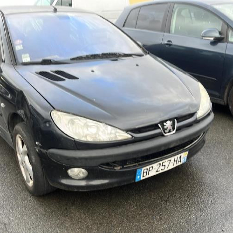 Porte arriere droit PEUGEOT 206 Photo n°8