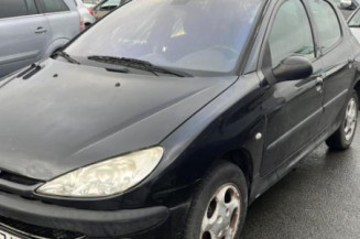 Porte arriere droit PEUGEOT 206