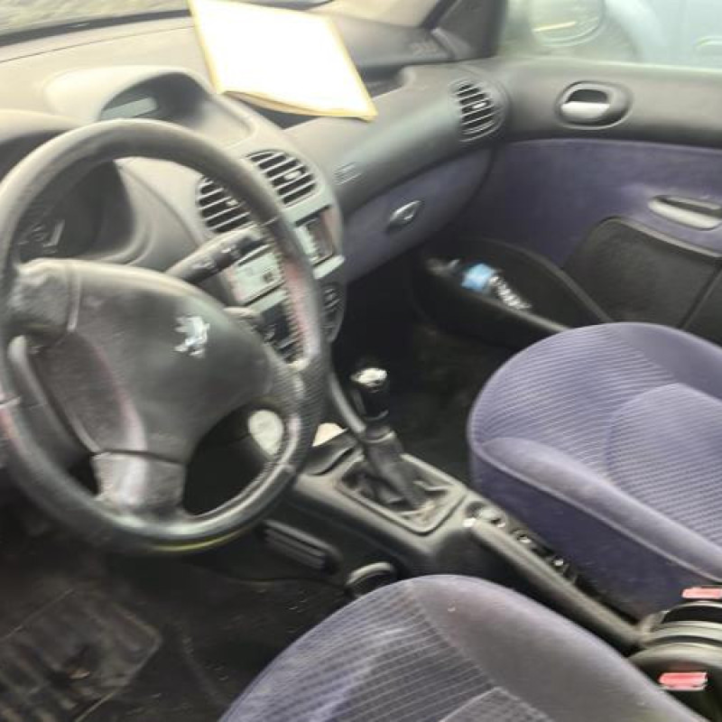 Porte arriere droit PEUGEOT 206 Photo n°13