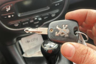 Porte arriere droit PEUGEOT 206