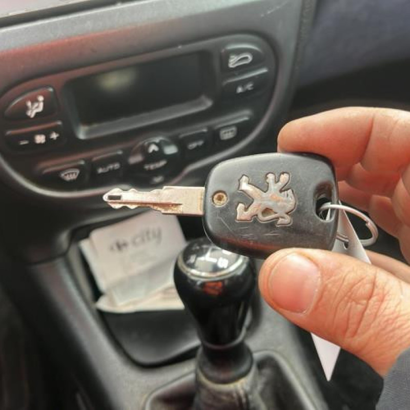 Porte arriere droit PEUGEOT 206 Photo n°16