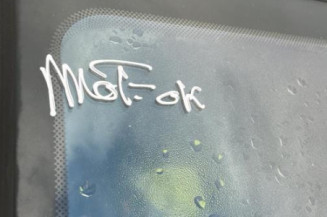 Porte arriere droit PEUGEOT 206