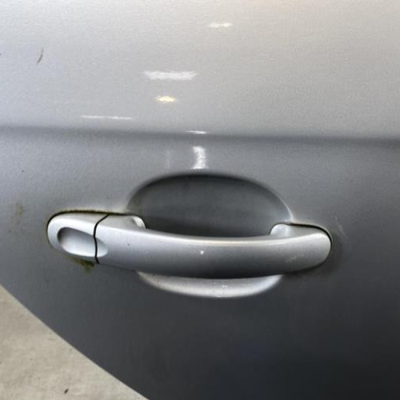 Porte arriere droit VOLKSWAGEN GOLF 5 Photo n°2
