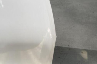 Capot CITROEN C3 PICASSO
