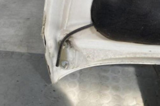 Capot CITROEN C3 PICASSO