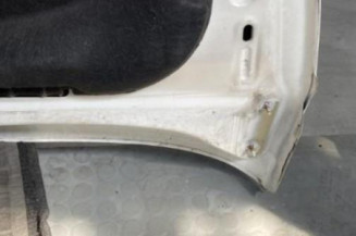 Capot CITROEN C3 PICASSO