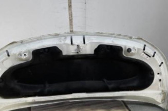 Capot CITROEN C3 PICASSO
