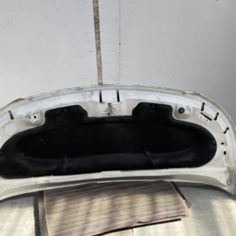 Capot CITROEN C3 PICASSO Photo n°9