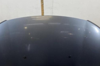 Capot CITROEN C3 PICASSO Photo n°1