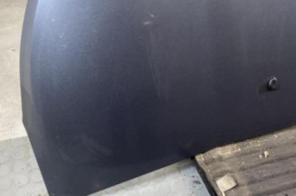 Capot CITROEN C3 PICASSO