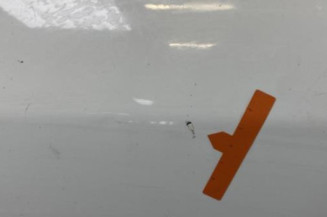 Porte arriere gauche RENAULT MEGANE 3