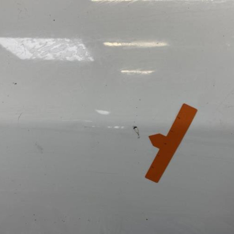 Porte arriere gauche RENAULT MEGANE 3 Photo n°3