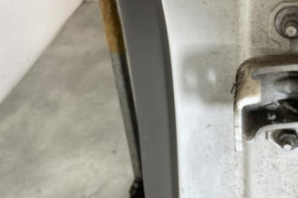 Porte arriere gauche RENAULT MEGANE 3