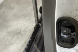 Porte arriere gauche RENAULT MEGANE 3