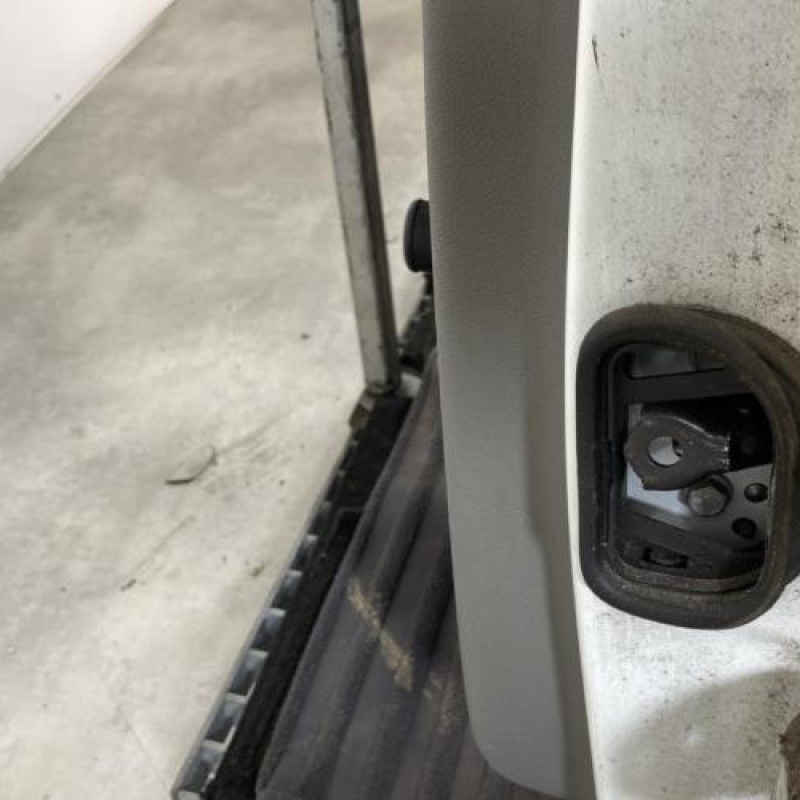 Porte arriere gauche RENAULT MEGANE 3 Photo n°5