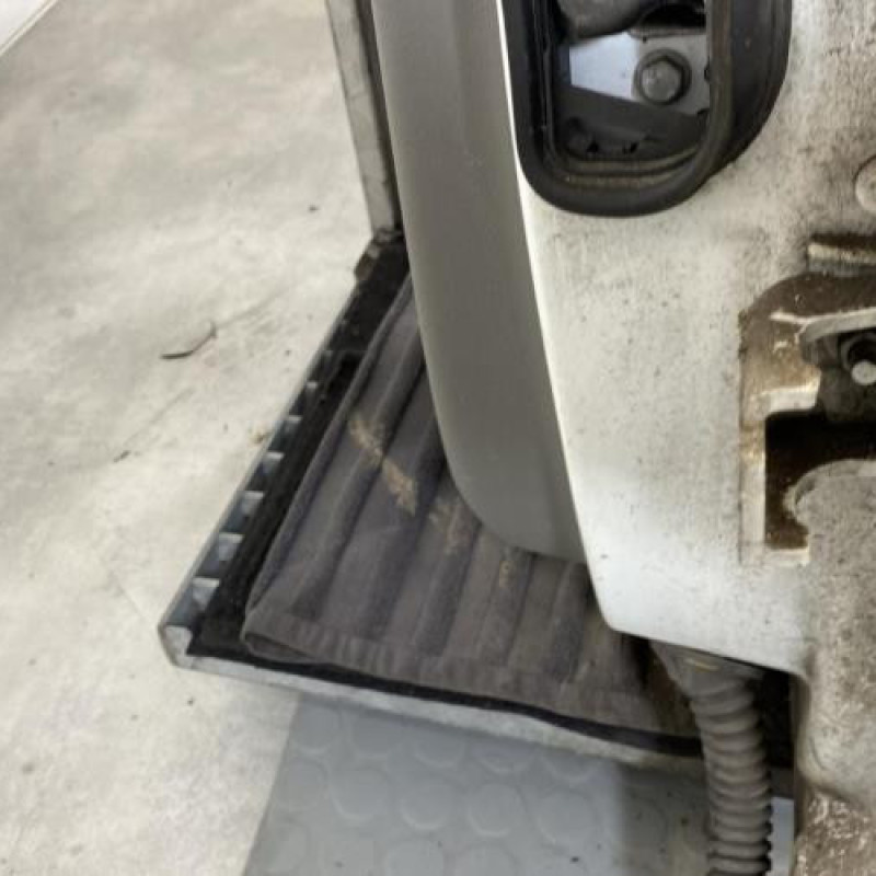 Porte arriere gauche RENAULT MEGANE 3 Photo n°6