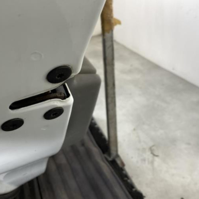 Porte arriere gauche RENAULT MEGANE 3 Photo n°7