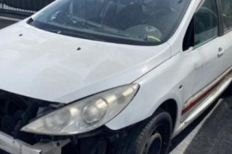 Aile avant droit PEUGEOT 307