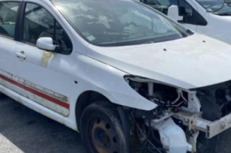 Aile avant droit PEUGEOT 307
