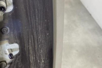 Porte arriere droit RENAULT MODUS