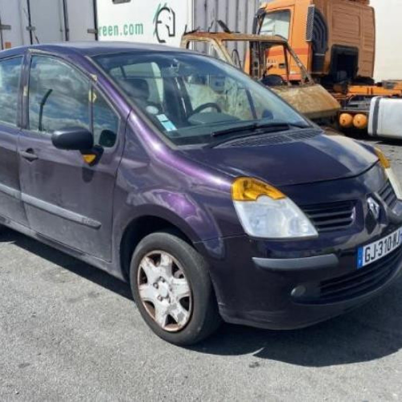 Porte arriere droit RENAULT MODUS Photo n°8