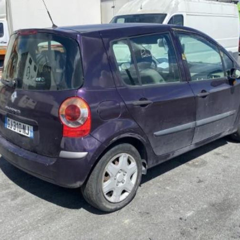 Porte arriere droit RENAULT MODUS Photo n°9