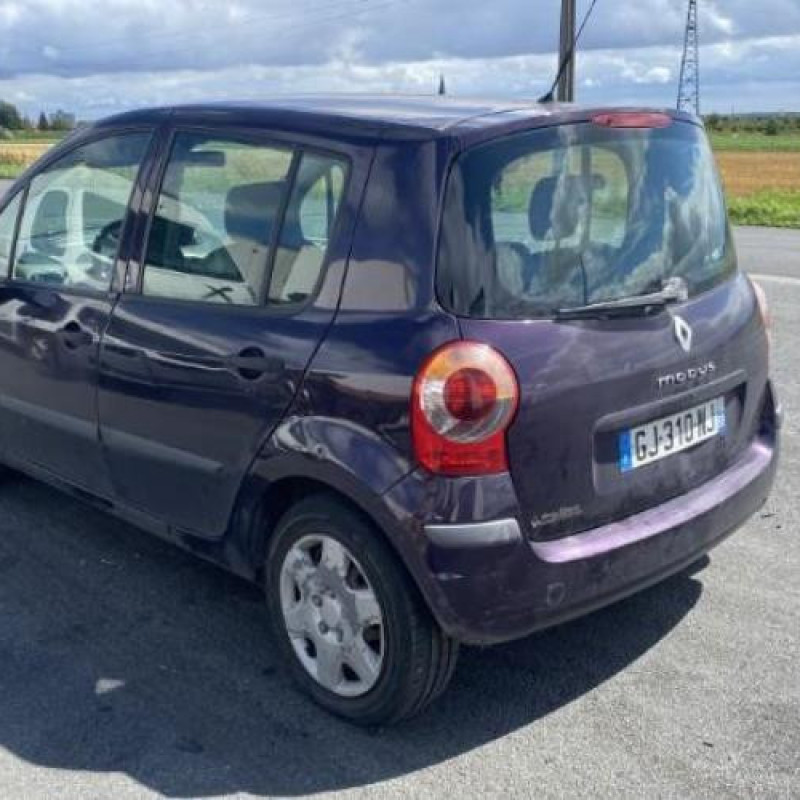 Porte arriere droit RENAULT MODUS Photo n°10